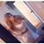 Tatii Mendoza's profile image