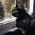 Sian Panter's profile image