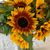 Missy Bohl Eslinger's profile image