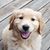 Stacy Tim Voss Bosch's profile image