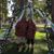 Steve N Diane Villareal's profile image