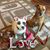 Kay Ladwig's profile image