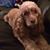 Janet Nix Harmon's profile image