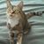 Karen S Humphrey's profile image