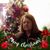 Gail Detzel's profile image