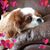 Linda Marable Eyler's profile image