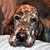 Mardi Hockenberry's profile image
