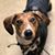Jennifer Denkinger-Stephes's profile image
