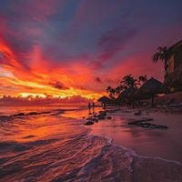 Sam Rainey's profile image