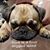 Kimberly Buchanan's profile image