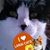 Samantha Dement-Graham's profile image