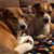 Kathy Phelps's profile image