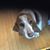 Donna Foley's profile image