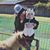 Miranda Earnest Egas's profile image