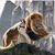 Jane Ann Chappell's profile image