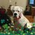 Angela Rusch's profile image