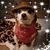 Denise Tony Madaus's profile image