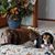 Tammy Newhouse Gill's profile image