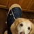 Sarah Young-Stoldt's profile image