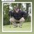 Randy Borskey's profile image