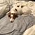 Kathy Sanders Keeney's profile image