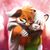 Lucent Fox's profile image
