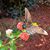 Alisa Fernandez Jardin's profile image