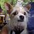 Vikki Long's profile image