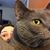 Mary Moore's profile image
