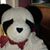 June Berner's profile image