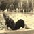 Tracie Y. Bierman's profile image
