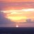 Patricia Helms's profile image