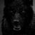 Doyle Glenn Owings's profile image
