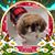 Barb Mueller's profile image