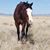 Kristi Shafer's profile image