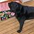 Lisa Erickson's profile image