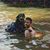Chris Cavallo's profile image