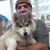 Felipe Romero Ronquillo's profile image