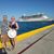 Rachel Ulakovic Steese's profile image