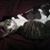 Tina Louise's profile image