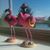 Kathy Gray's profile image