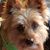 Peggy Mann Schroeder's profile image