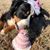 Dorene McCune's profile image