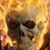 Tim Heffley's profile image