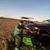 Omar Alonso Lara Dosal's profile image