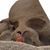 Talitha Seeber's profile image