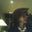 Cat Pavcum's profile image