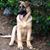 Lora Richardson Snavely's profile image