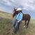 Alcantar Ismael's profile image