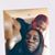 Nicole Pritchett's profile image